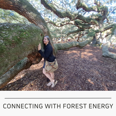 forest energy session image