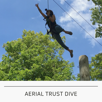 aerial trust dive